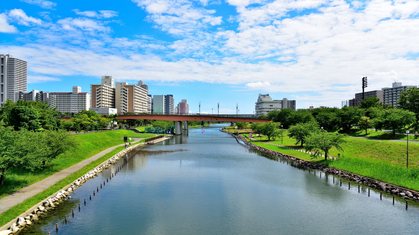 江戸川 風景 旧江戸川 過激